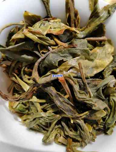 云县大寨古树茶价格多少，探寻古树茶韵味：云县大寨茶叶的价格解析