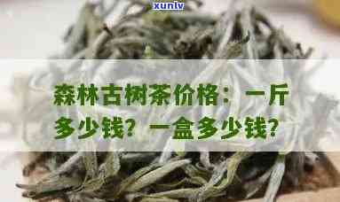 雨林古树茶价格：一斤、一盒是多少？