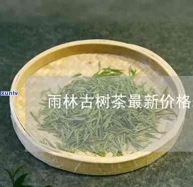 雨林古树茶美成价格-雨林古树茶价位