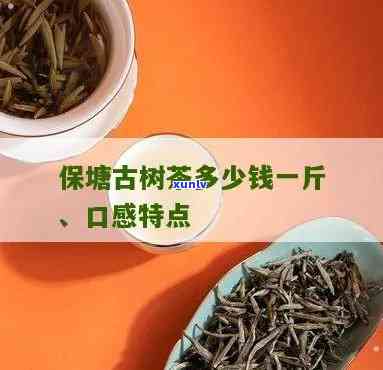 保塘旧寨古树茶价格-保塘旧寨古树茶价格表