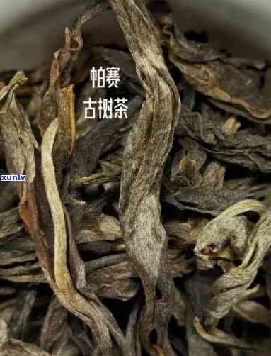 寮韵老挝古树茶价格-寮韵老挝古树茶怎么样