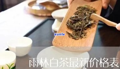 雨林古树茶白茶价格多少，探寻雨林古树茶白茶的价格奥秘！