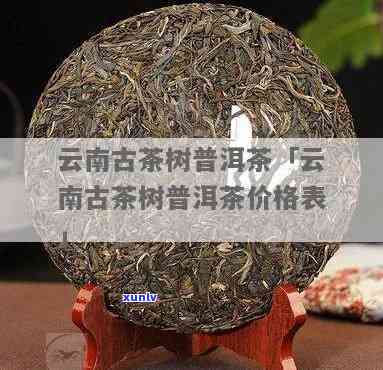 云南临沧古树茶价格-云南临沧古树茶价格表