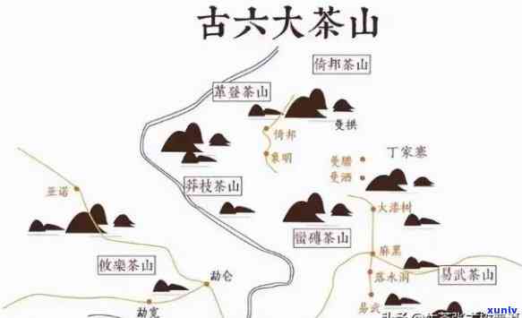 革登古树茶：产地、口感与特点全解析