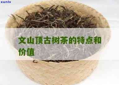 文山顶古树茶的价格-文山顶古树茶的特点