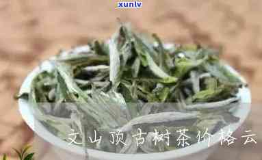 文山顶古树茶的价格-文山顶古树茶的特点