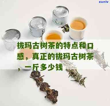 拔玛古树红茶特点，探索拔玛古树红茶的独特魅力与特点