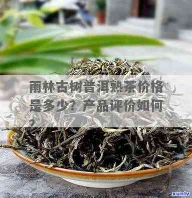 热带雨林普洱茶：茶叶、价格全解析