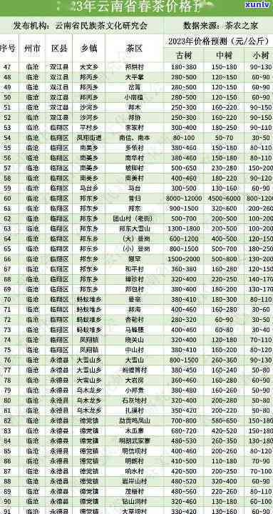 2023年最新雨林古树茶价格表及官网信息一览