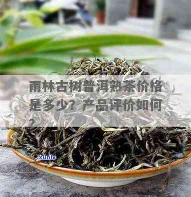 雨林古树茶多少钱，探寻神秘的雨林古树茶：价格解析与购买建议