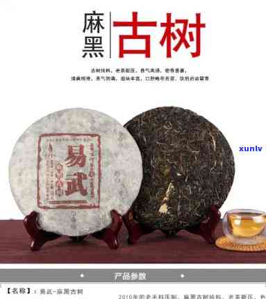 麻黑古树茶品鉴：特点与价格全解析