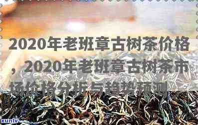 2020弯古树茶价格，探究2020年弯古树茶的价格走势与市场分析