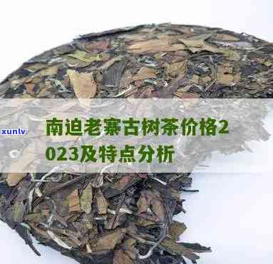 南盆老寨古树茶价格及图片全览