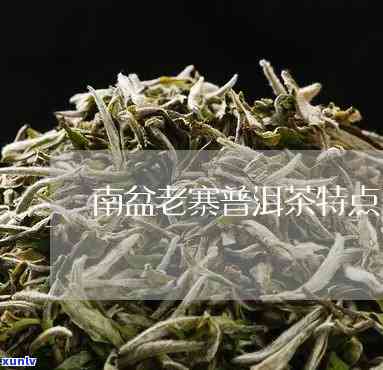 南盆老寨普洱茶特点，南盆老寨普洱茶：特点、品质与鉴别 *** 