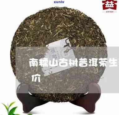 08古树茶帕沙价格-2021帕沙古树茶价格