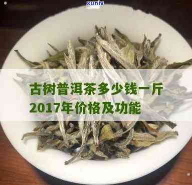 勐古树茶多少钱一斤，探寻古老韵味：勐古树茶价格全解析