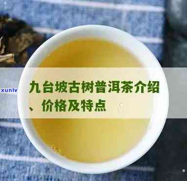 九台坡古树茶的价格，探究九台坡古树茶的市场价格与价值