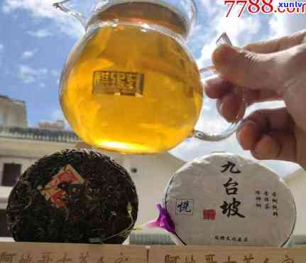 九台坡古树茶的价格，探究九台坡古树茶的市场价格与价值