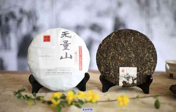 无量山古树茶饼价格多少？一斤的价格是多少？