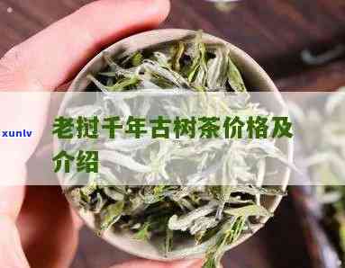 老挝千年古树茶价格多少？请给出详细回答