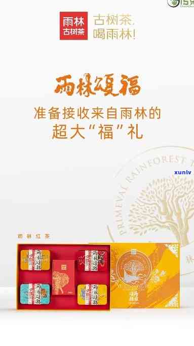 普洱茶的全方位解析：从品种、 *** 到品鉴，你想知道的都在这里