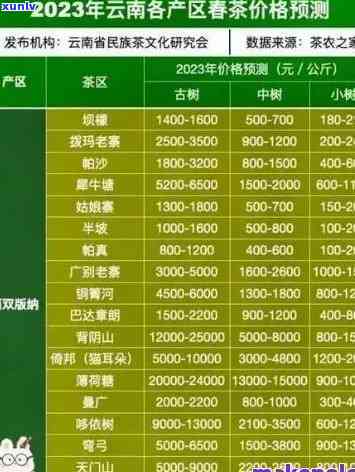 2023年刮风寨古树茶价格表全览：历年价格对比分析