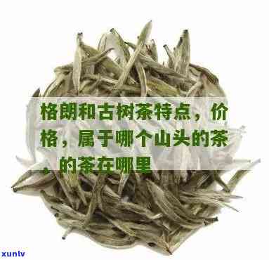 格朗和属于哪个山头的茶，探寻云南格朗和茶叶的源头：揭秘其所属的山头