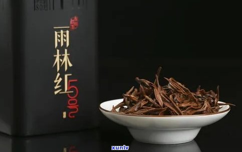 版纳雨林红茶价格，探秘版纳雨林红茶：价格解析与品质评估