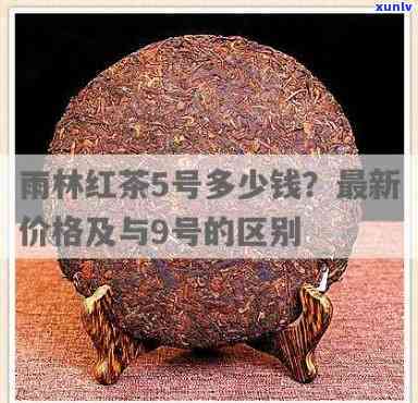 版纳雨林红茶价格，探秘版纳雨林红茶：价格解析与品质评估