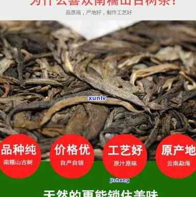 版纳雨林古树茶价格-版纳雨林古树茶价格表