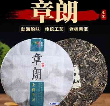 章朗古树茶357克价格及产地介绍，了解章朗古树普洱茶生茶特性