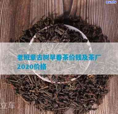 章朗古树茶最新价格-章朗古树茶最新价格走势