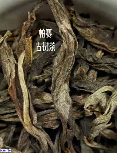 磨烈古树茶春茶价格-磨烈古树茶2018价格