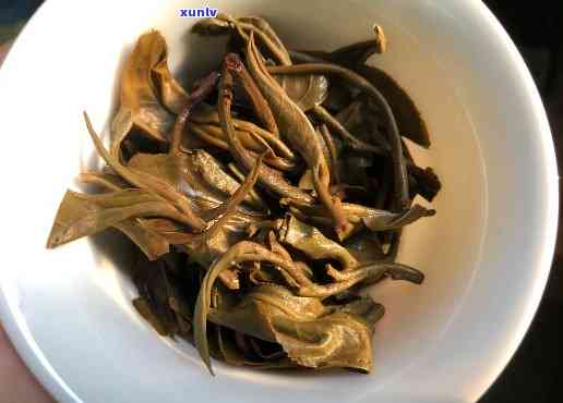 磨烈古树茶春茶价格-磨烈古树茶2018价格