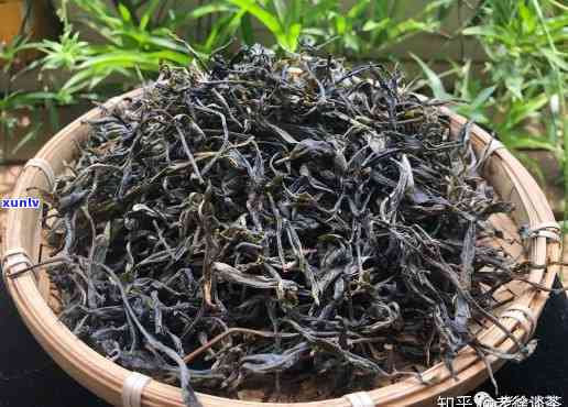 台江秘境古树茶价格，探秘古老韵味：台江秘境古树茶价格解析