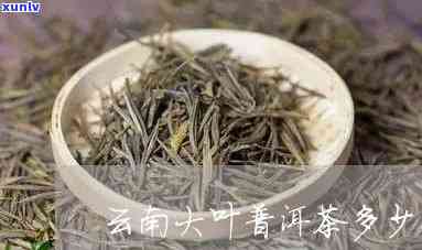 云南大叶茶的价格是多少？它是哪种茶类？