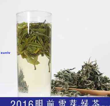 云南雪芽茶哪里喝，寻找好喝的云南雪芽茶：口碑的产地推荐