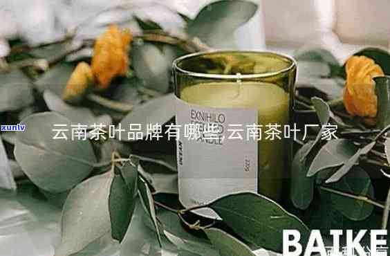 云南甜茶什么牌子好-云南甜茶什么牌子好喝