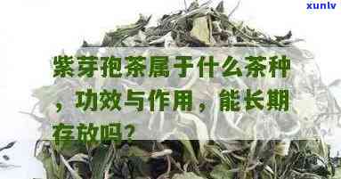 云南紫芽孢茶的存放-紫芽孢茶怎么保存