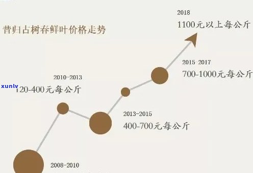 忙肺古树茶价格变迁：2019-2023年全面对比分析