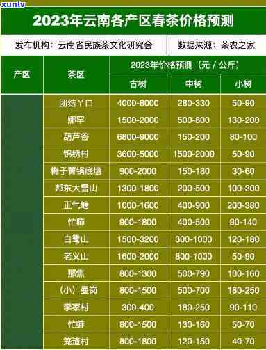 忙肺古树茶价格变迁：2019-2023年全面对比分析