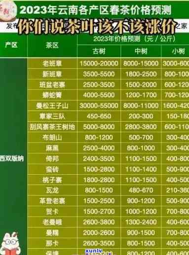 忙肺古树茶价格变迁：2019-2023年全面对比分析