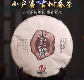 小户赛古树普洱茶生茶多少钱，探寻古韵：小户赛古树普洱茶生茶价格解析