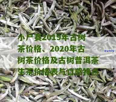 小户赛古树茶价格表-小户赛古树茶2019价格