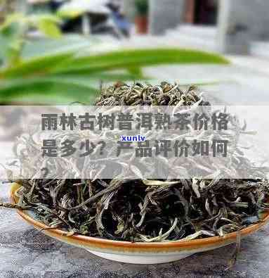 雨林古树茶多少钱一斤，探索神秘的雨林古树茶：每斤价格解析