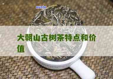 探索大朝山普洱茶的独特特点