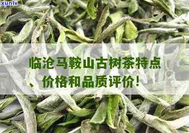 探索云南马鞍山茶的独特口感与特点