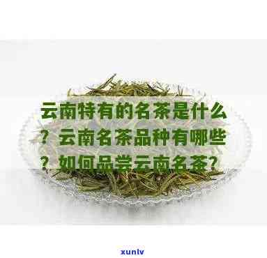 云南名茶有哪些特点？深入了解云南特色茶叶