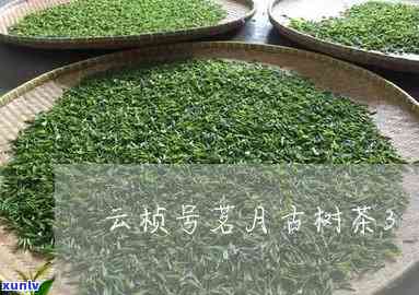 云南云桢茶业茗月茶-云南云桢茶业生产的茗月茶价格