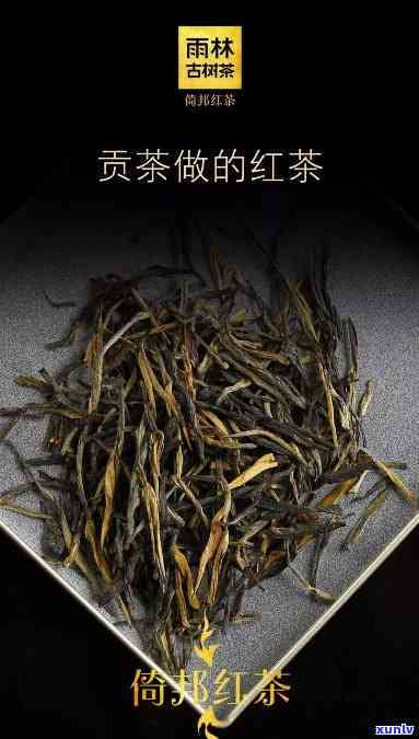 云南倚邦贡茶：拔玛红，源自老字号茶业公司